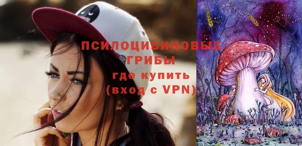 кокаин Каменка