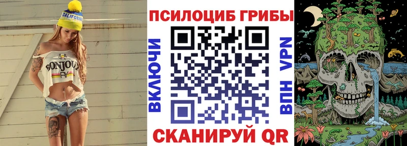 Галлюциногенные грибы Magic Shrooms  Купить где  Дегтярск 
